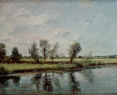 Praderas acuáticas cerca de Salisbury de John Constable